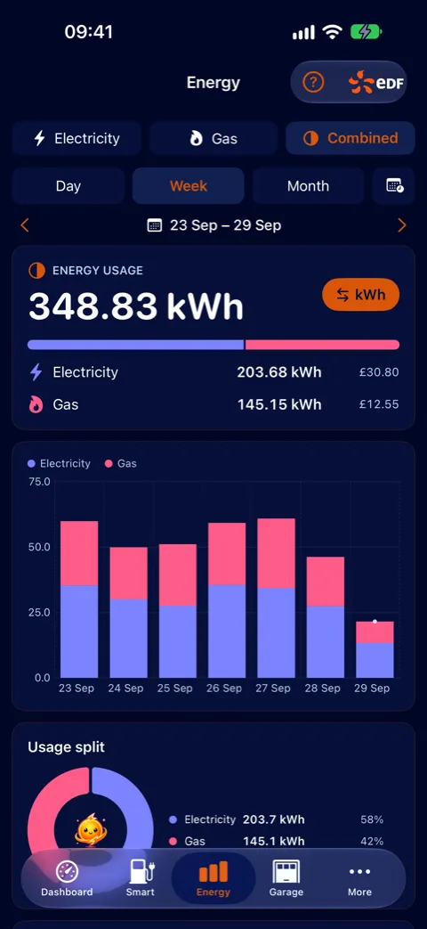 Energy tab showing a week of electricity and gas together, each priced